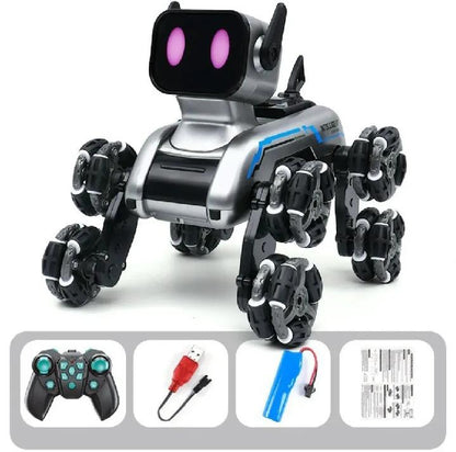 Smart RC Stunt Robot Car
